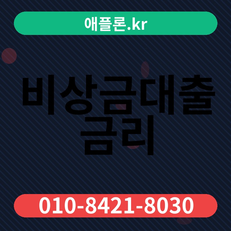 비상금대출 금리 | 애플론.kr | 010-8421-8030