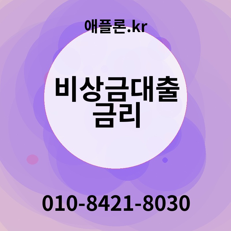 비상금대출 금리 | 애플론.kr | 010-8421-8030