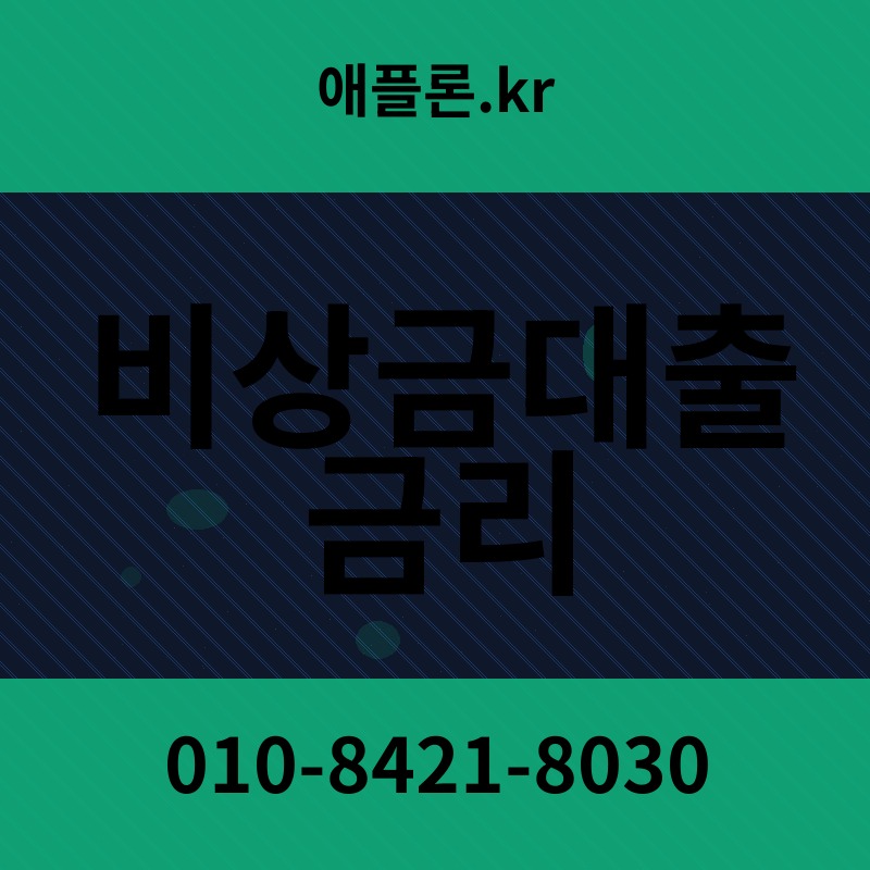 비상금대출 금리 | 애플론.kr | 010-8421-8030