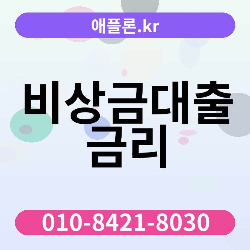 비상금대출 금리 | 애플론.kr | 010-8421-8030
