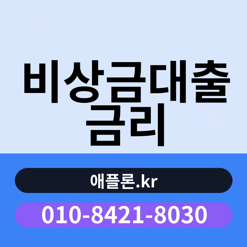 비상금대출 금리 | 애플론.kr | 010-8421-8030