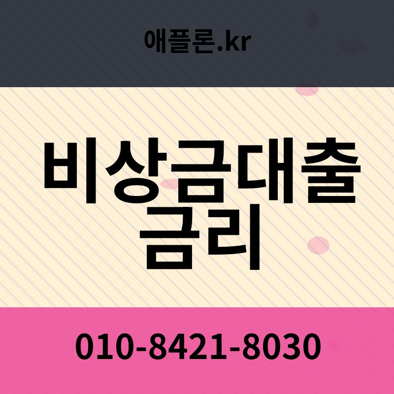 비상금대출 금리 | 애플론.kr | 010-8421-8030