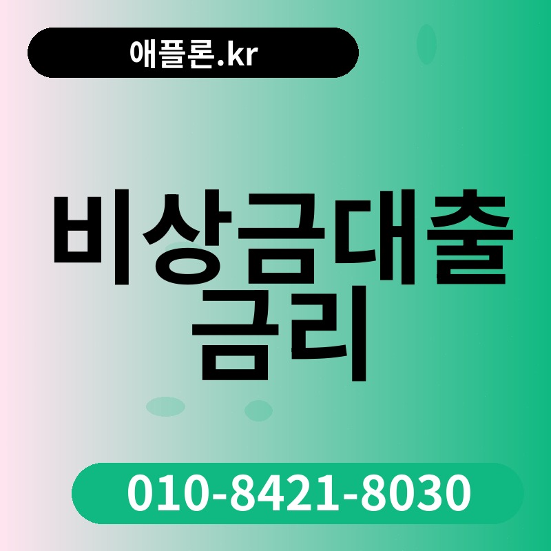 비상금대출 금리 | 애플론.kr | 010-8421-8030