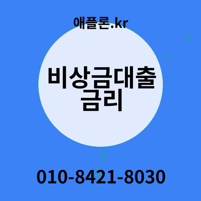 비상금대출 금리 | 애플론.kr | 010-8421-8030