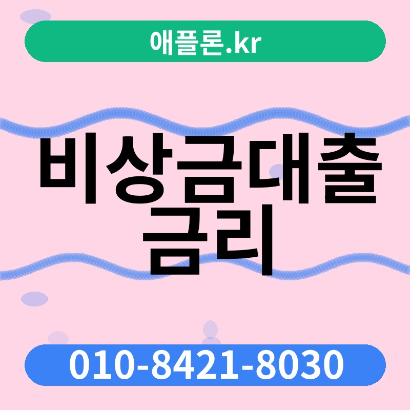 비상금대출 금리 | 애플론.kr | 010-8421-8030