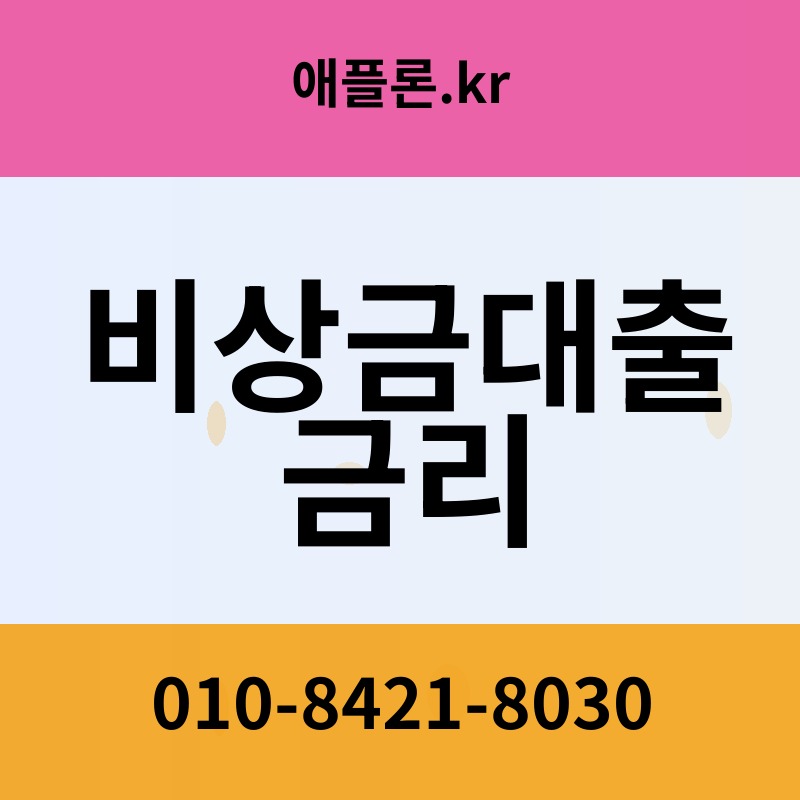 비상금대출 금리 | 애플론.kr | 010-8421-8030