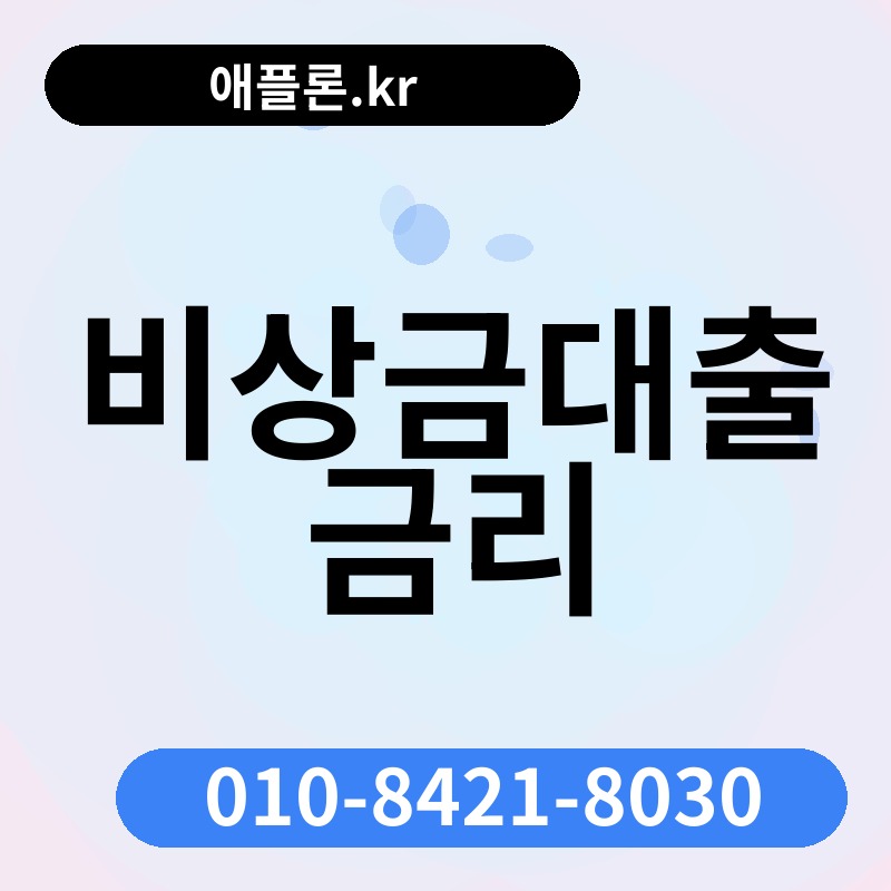 비상금대출 금리 | 애플론.kr | 010-8421-8030