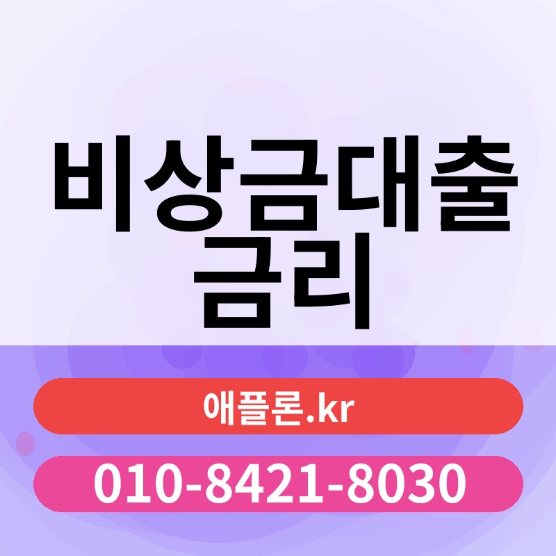 비상금대출 금리 | 애플론.kr | 010-8421-8030