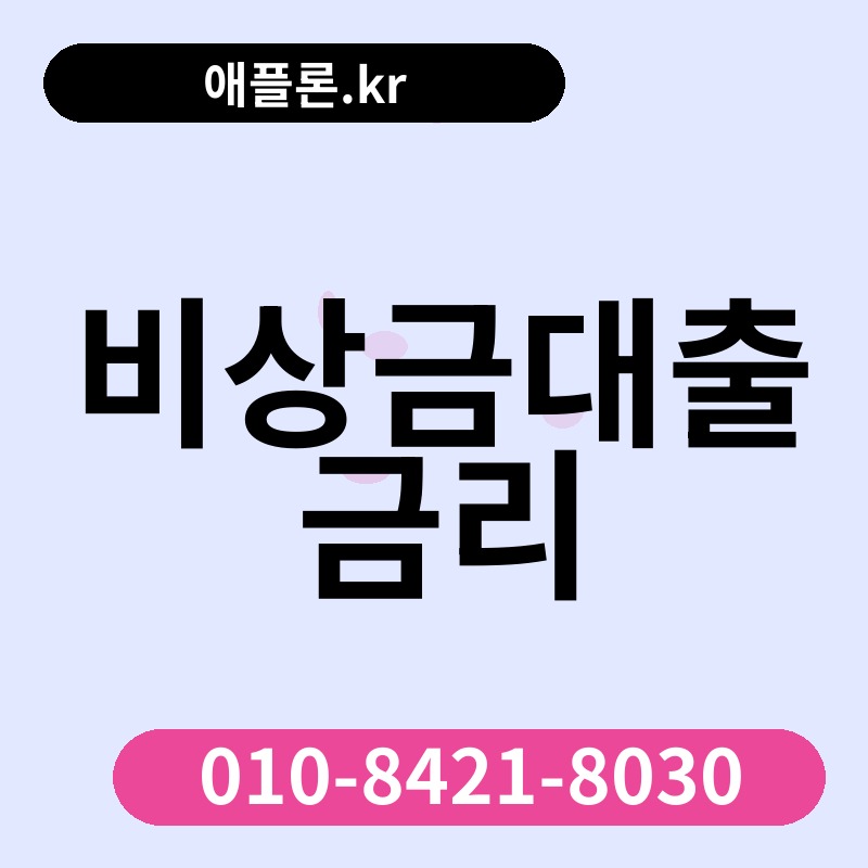 비상금대출 금리 | 애플론.kr | 010-8421-8030