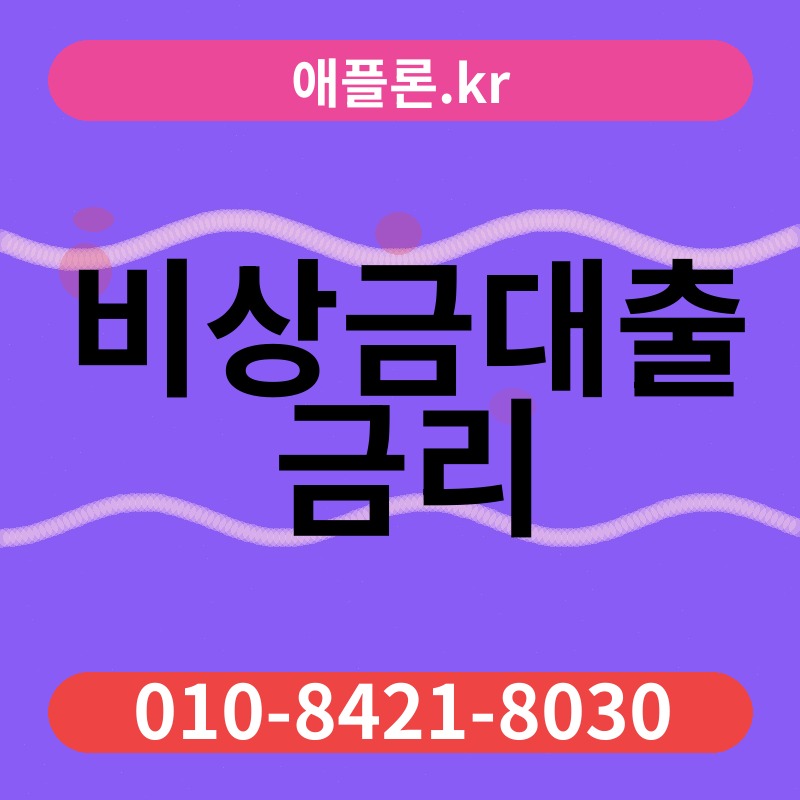 비상금대출 금리 | 애플론.kr | 010-8421-8030