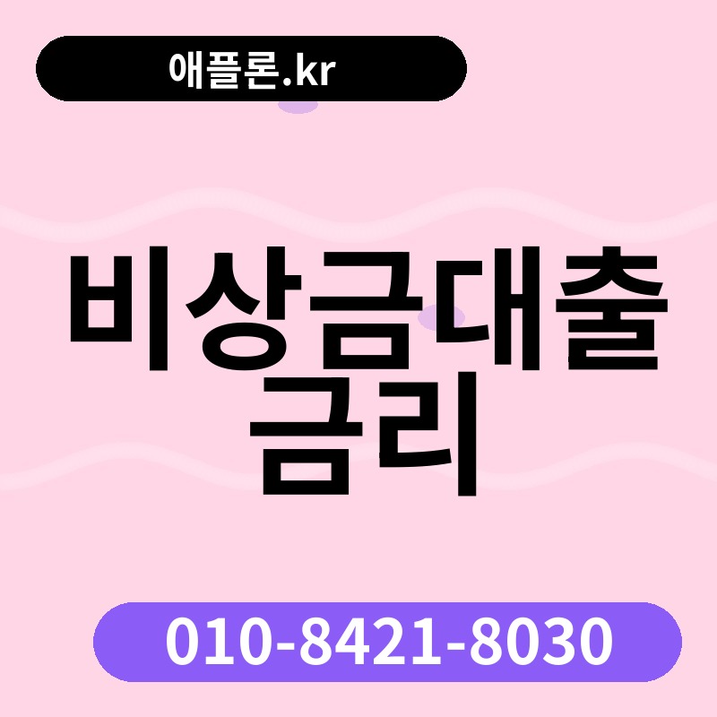 비상금대출 금리 | 애플론.kr | 010-8421-8030