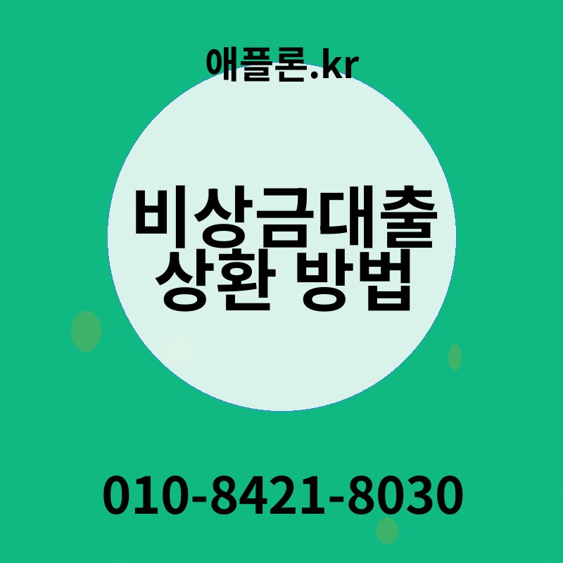 비상금대출 상환 방법 | 애플론.kr | 010-8421-8030