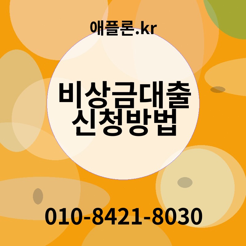 비상금대출 신청방법 | 애플론.kr | 010-8421-8030