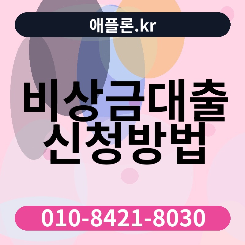 비상금대출 신청방법 | 애플론.kr | 010-8421-8030