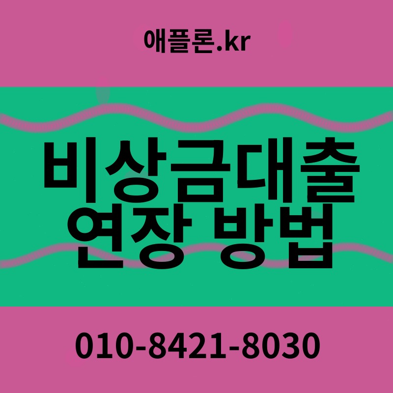 비상금대출 연장 방법 | 애플론.kr | 010-8421-8030
