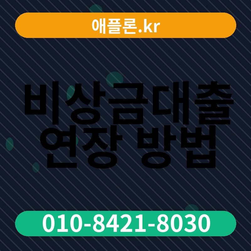 비상금대출 연장 방법 | 애플론.kr | 010-8421-8030