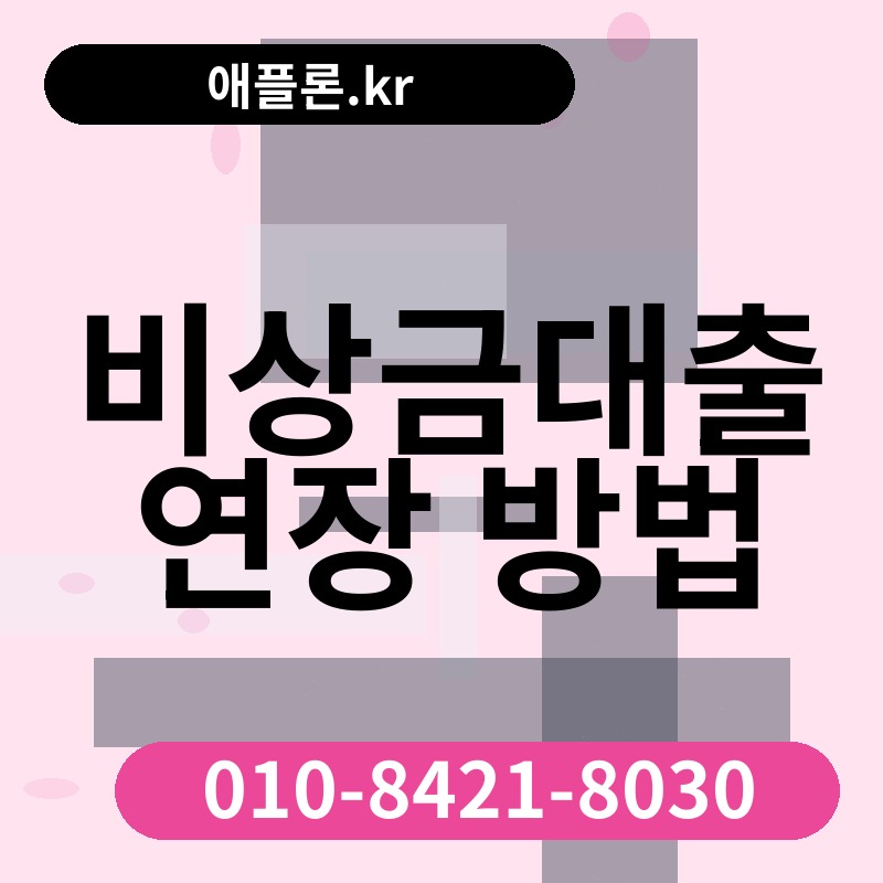 비상금대출 연장 방법 | 애플론.kr | 010-8421-8030