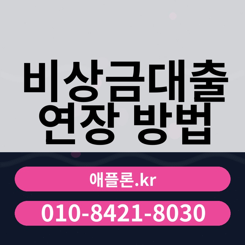 비상금대출 연장 방법 | 애플론.kr | 010-8421-8030