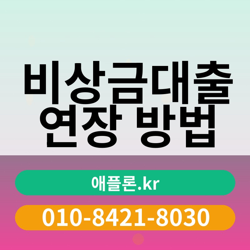 비상금대출 연장 방법 | 애플론.kr | 010-8421-8030