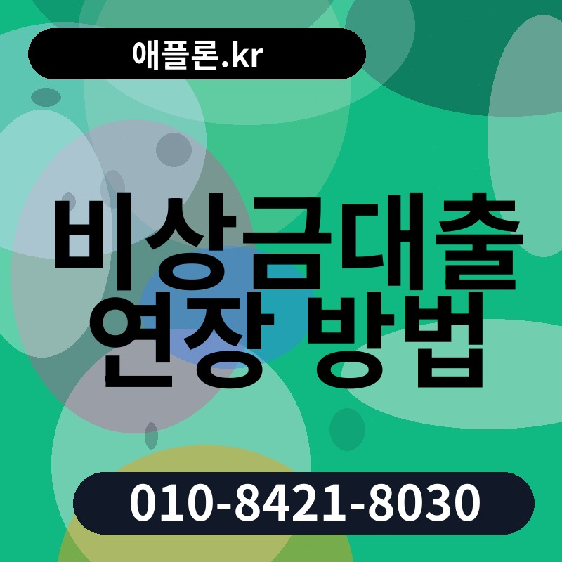 비상금대출 연장 방법 | 애플론.kr | 010-8421-8030