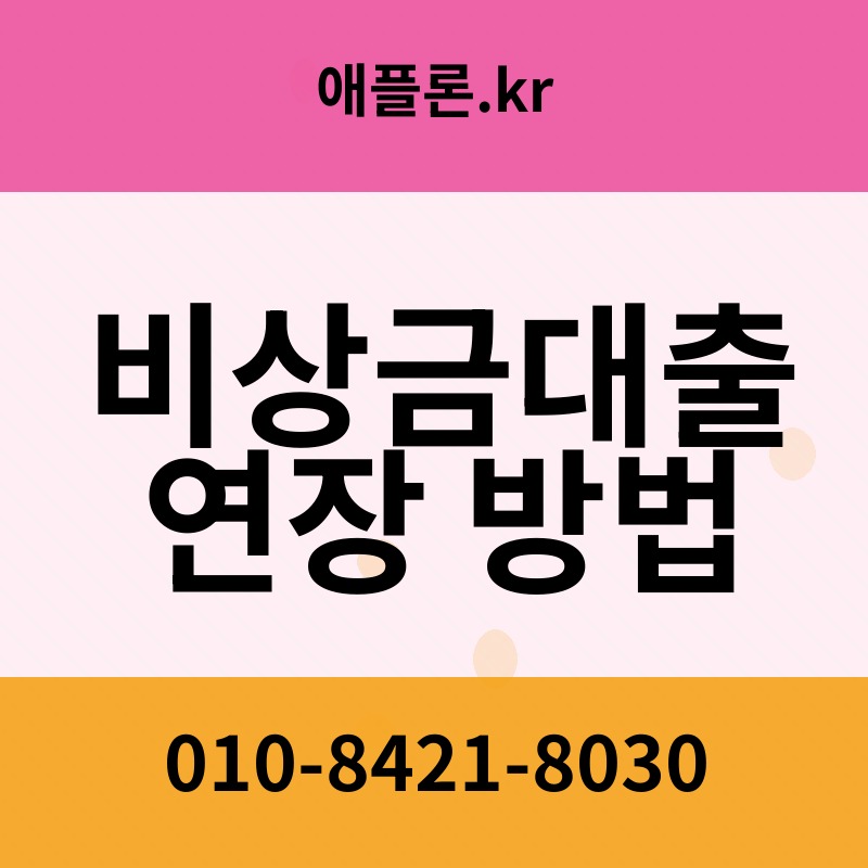 비상금대출 연장 방법 | 애플론.kr | 010-8421-8030