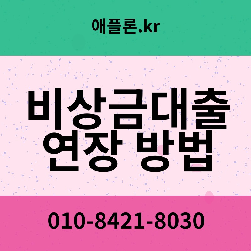 비상금대출 연장 방법 | 애플론.kr | 010-8421-8030