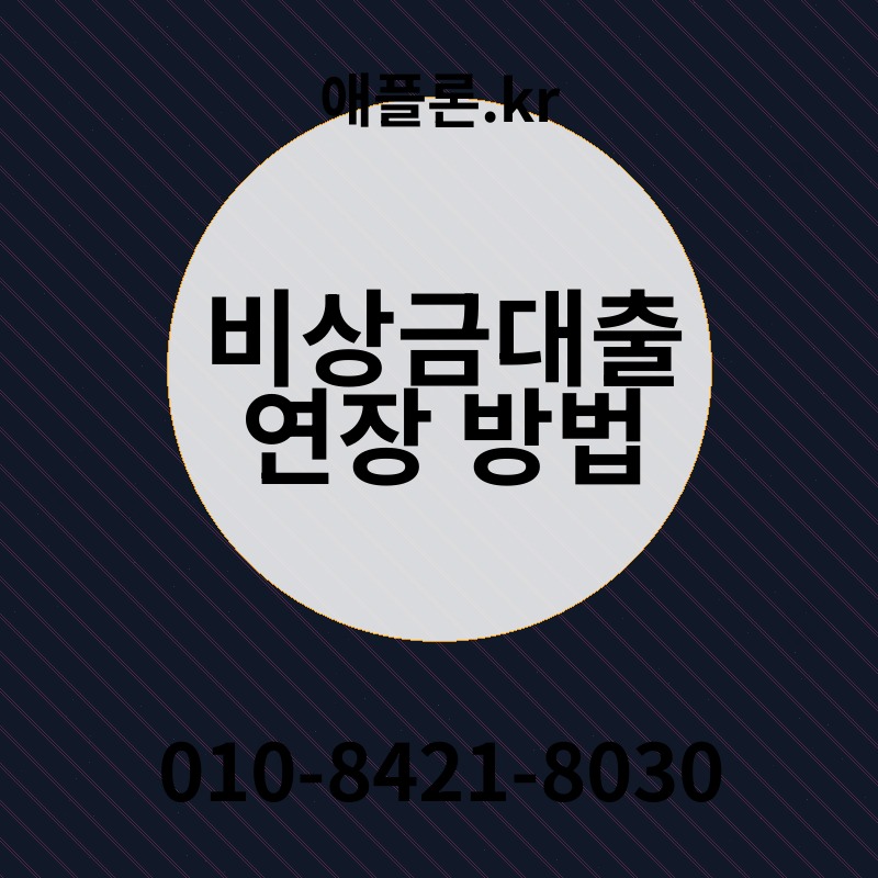비상금대출 연장 방법 | 애플론.kr | 010-8421-8030