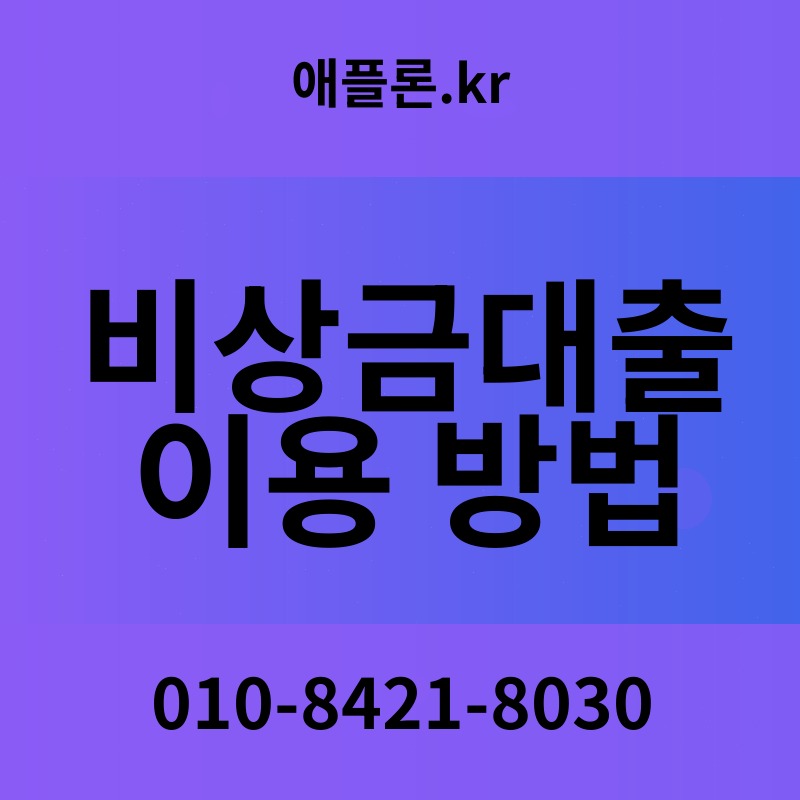 비상금대출 이용 방법 | 애플론.kr | 010-8421-8030