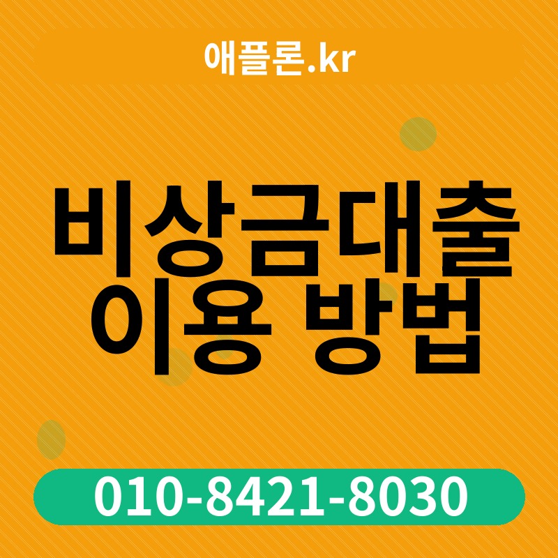 비상금대출 이용 방법 | 애플론.kr | 010-8421-8030