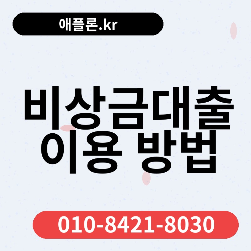 비상금대출 이용 방법 | 애플론.kr | 010-8421-8030