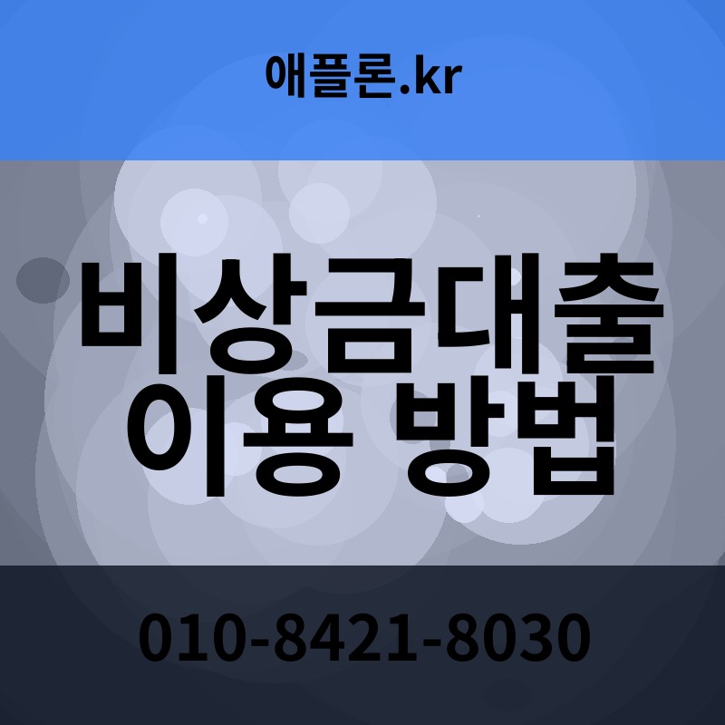 비상금대출 이용 방법 | 애플론.kr | 010-8421-8030