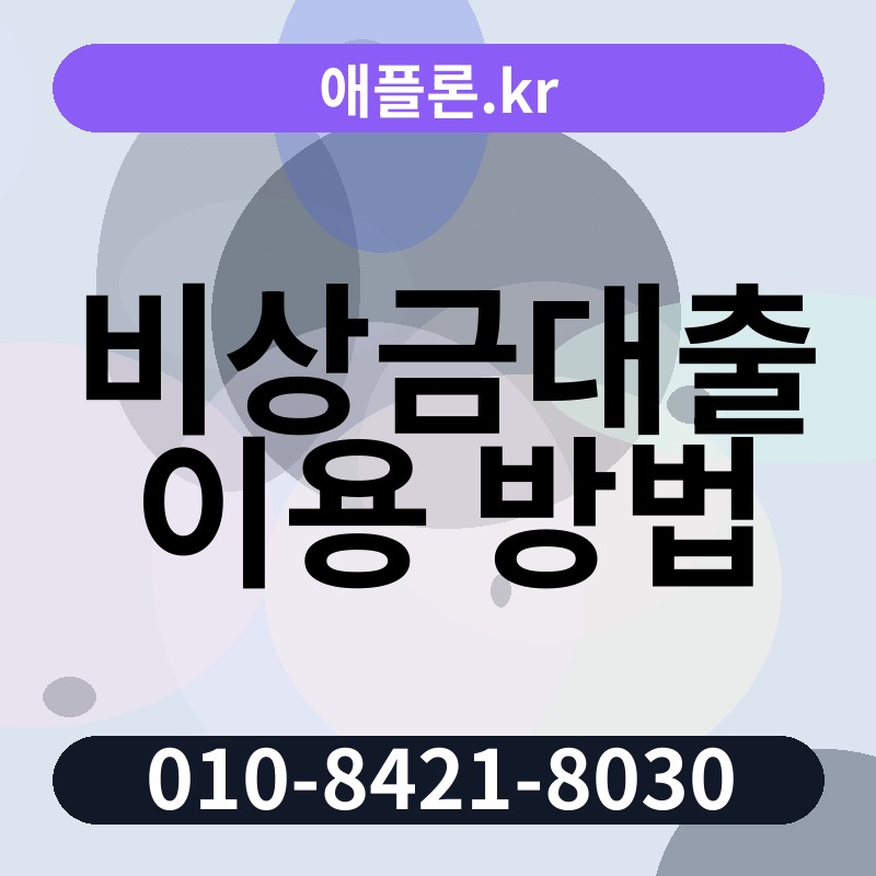 비상금대출 이용 방법 | 애플론.kr | 010-8421-8030
