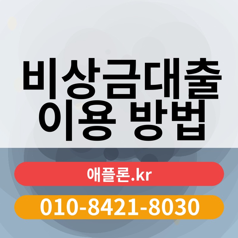 비상금대출 이용 방법 | 애플론.kr | 010-8421-8030