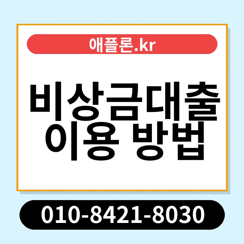 비상금대출 이용 방법 | 애플론.kr | 010-8421-8030