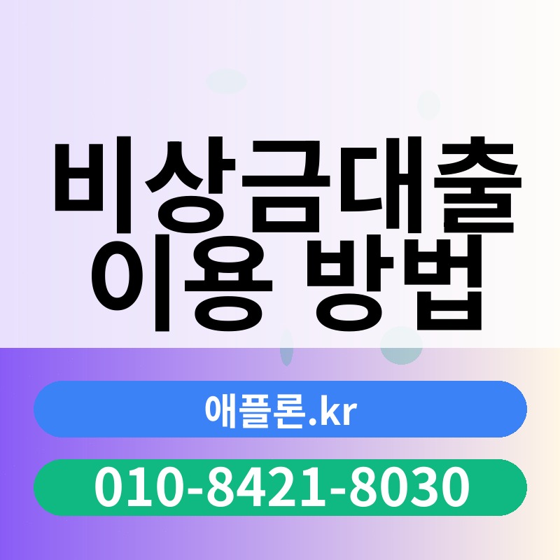 비상금대출 이용 방법 | 애플론.kr | 010-8421-8030