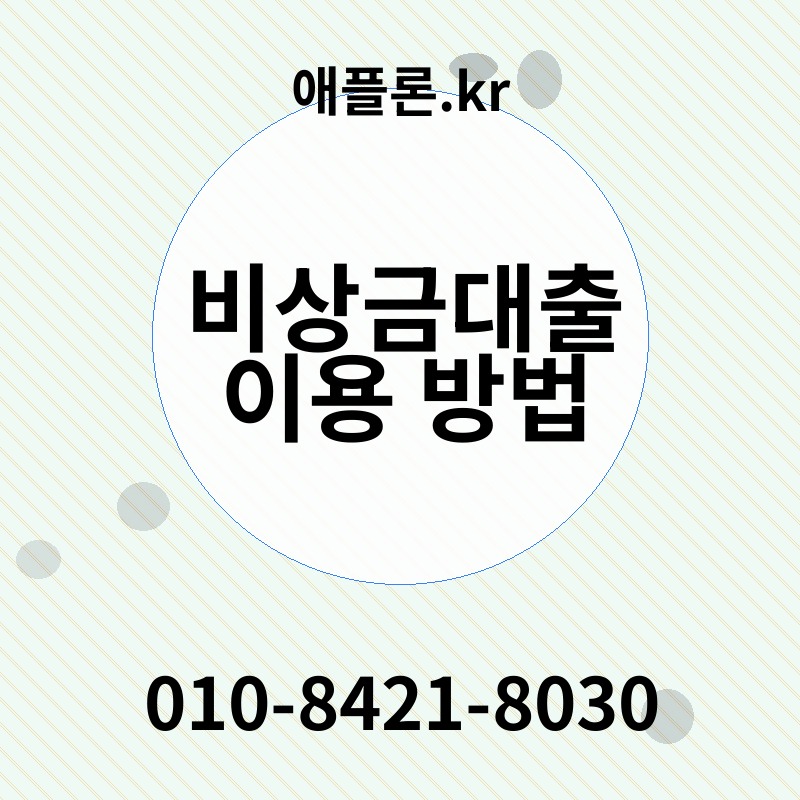 비상금대출 이용 방법 | 애플론.kr | 010-8421-8030