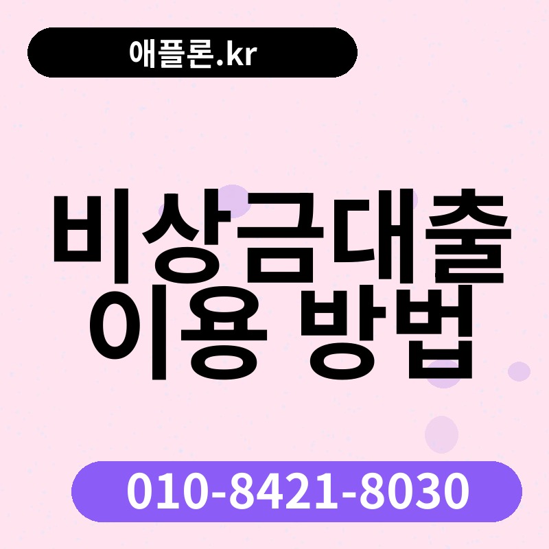 비상금대출 이용 방법 | 애플론.kr | 010-8421-8030