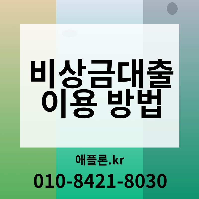 비상금대출 이용 방법 | 애플론.kr | 010-8421-8030