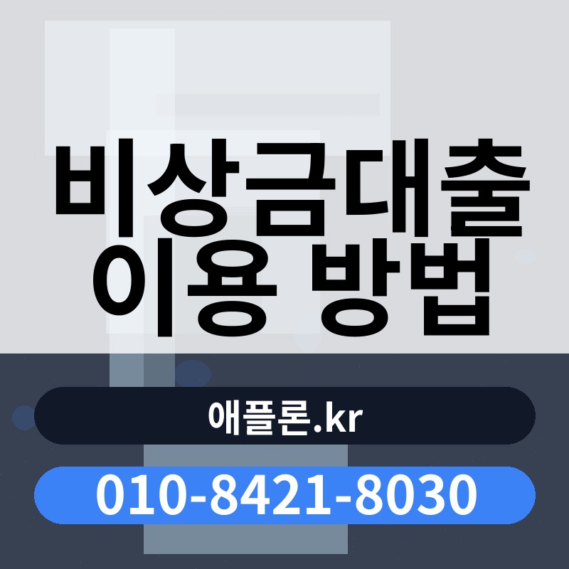 비상금대출 이용 방법 | 애플론.kr | 010-8421-8030