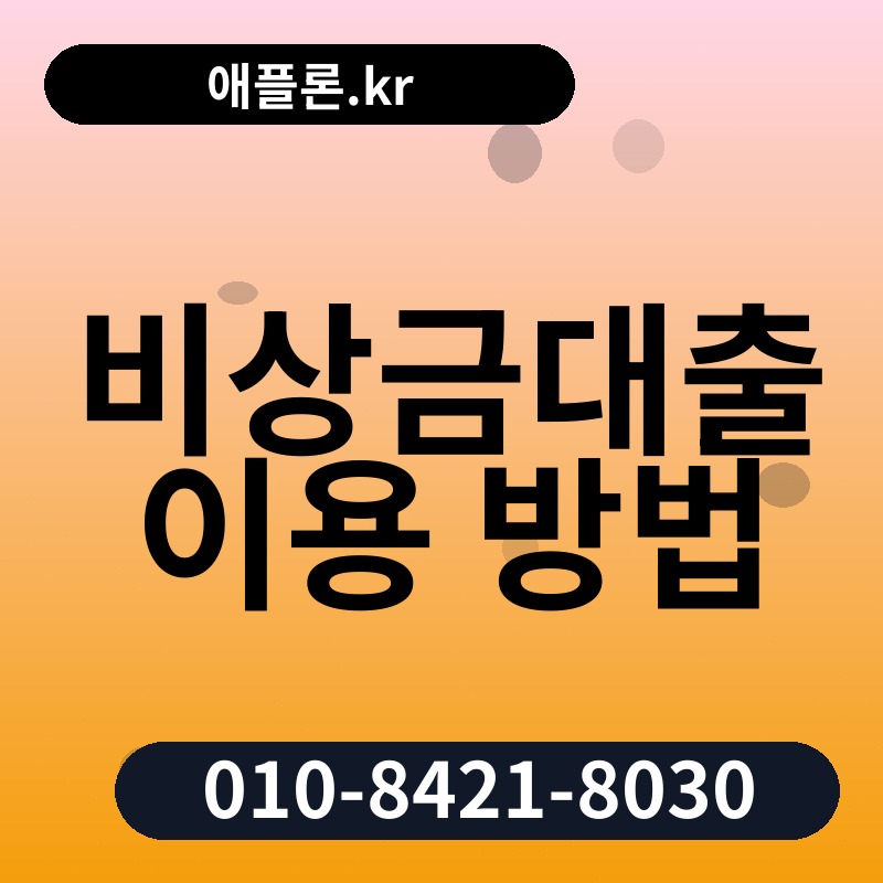 비상금대출 이용 방법 | 애플론.kr | 010-8421-8030
