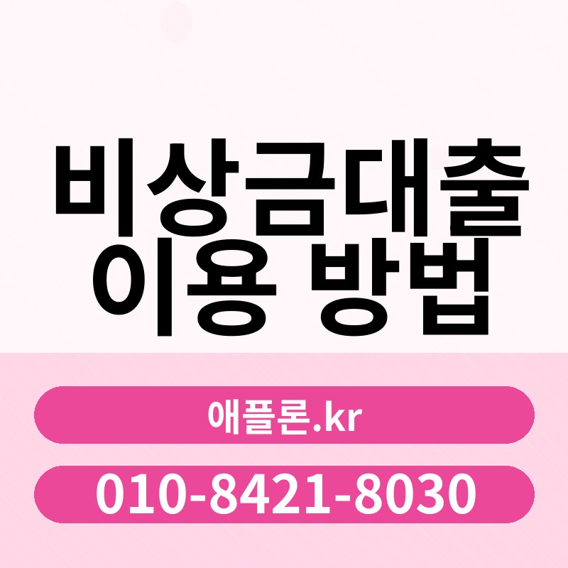 비상금대출 이용 방법 | 애플론.kr | 010-8421-8030