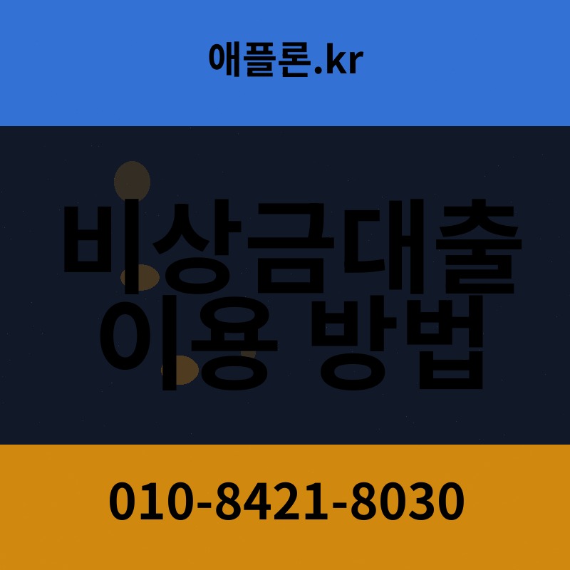 비상금대출 이용 방법 | 애플론.kr | 010-8421-8030