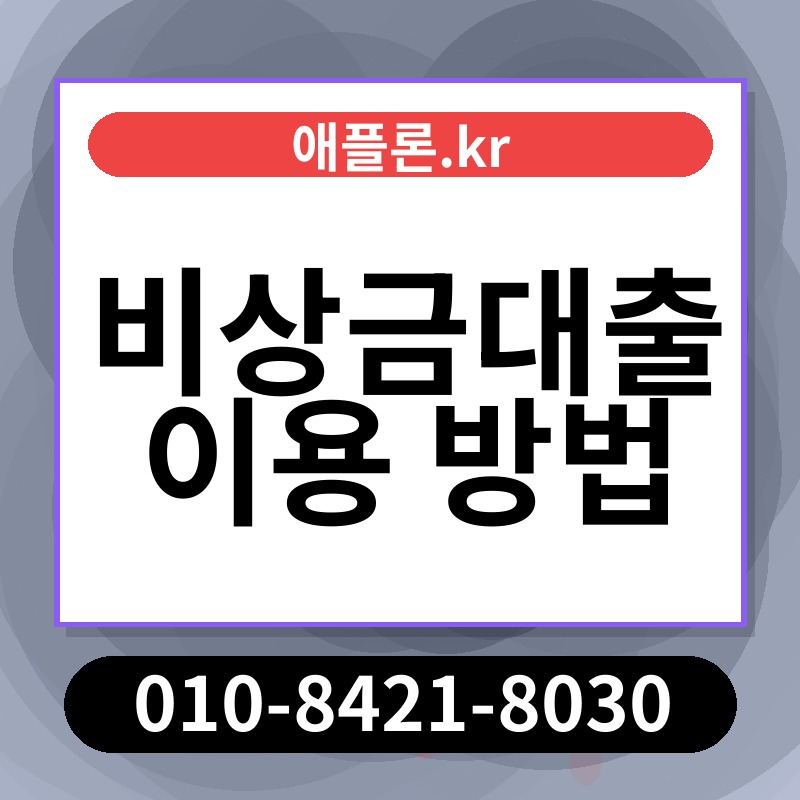 비상금대출 이용 방법 | 애플론.kr | 010-8421-8030