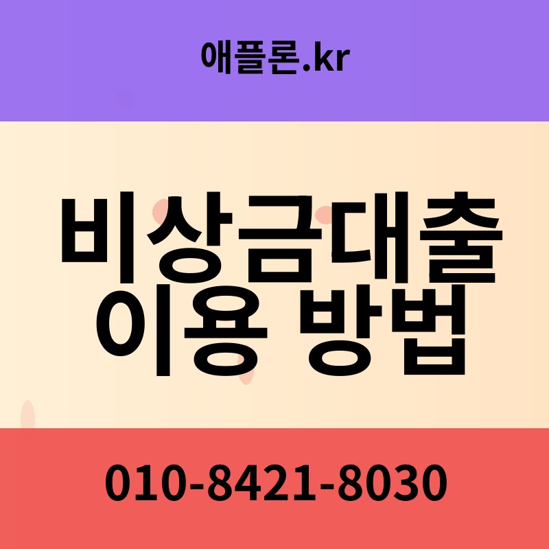 비상금대출 이용 방법 | 애플론.kr | 010-8421-8030