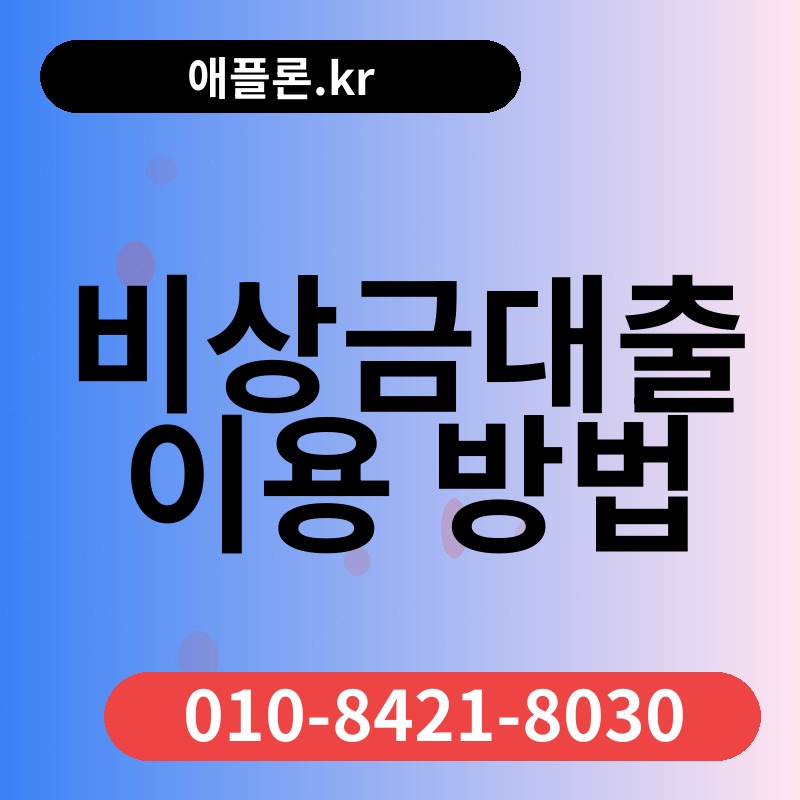 비상금대출 이용 방법 | 애플론.kr | 010-8421-8030