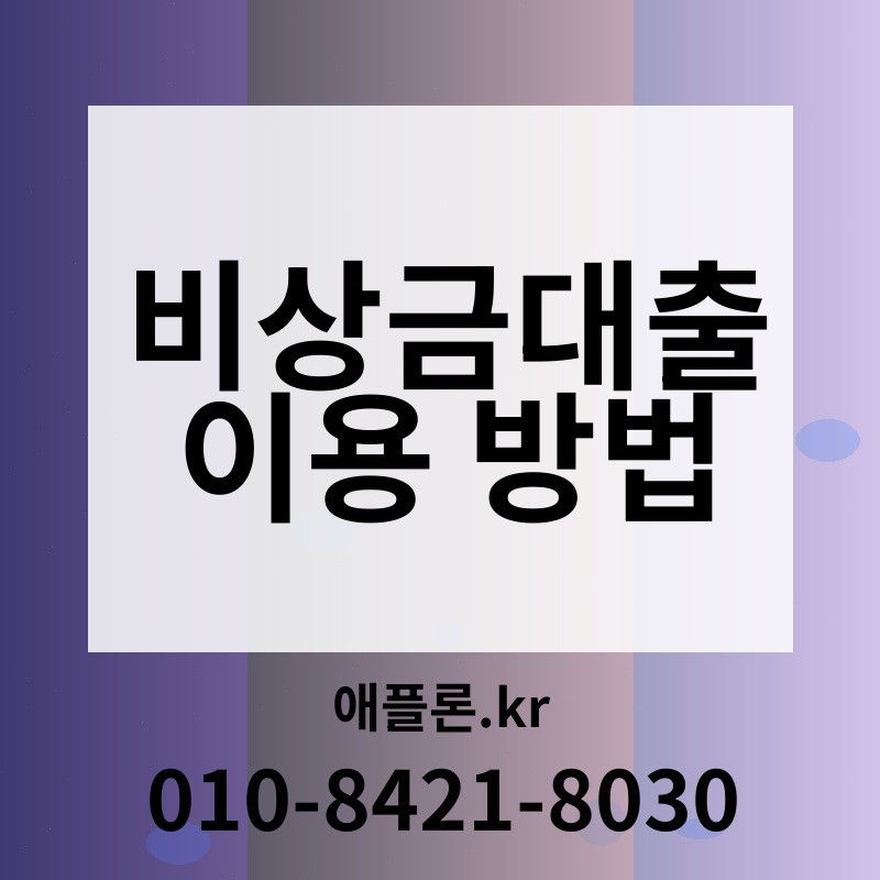 비상금대출 이용 방법 | 애플론.kr | 010-8421-8030