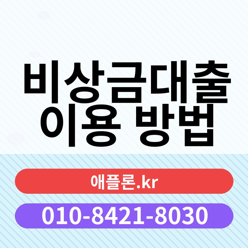 비상금대출 이용 방법 | 애플론.kr | 010-8421-8030