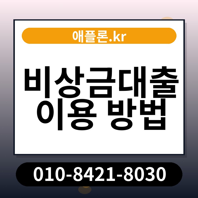 비상금대출 이용 방법 | 애플론.kr | 010-8421-8030