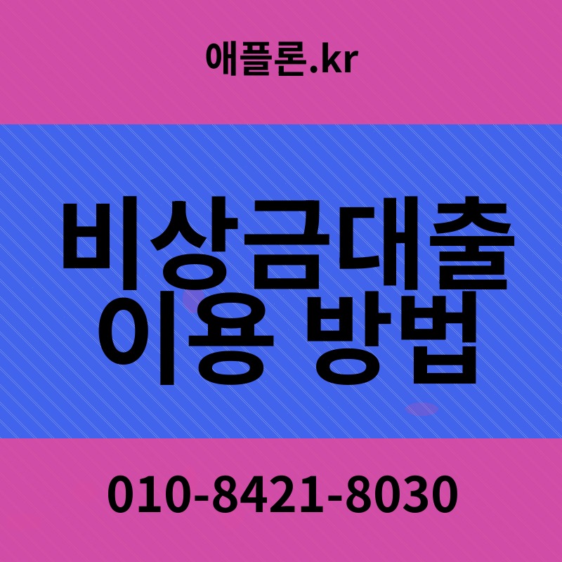 비상금대출 이용 방법 | 애플론.kr | 010-8421-8030