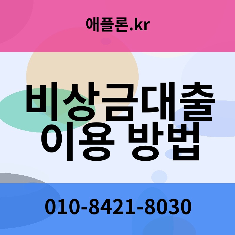 비상금대출 이용 방법 | 애플론.kr | 010-8421-8030